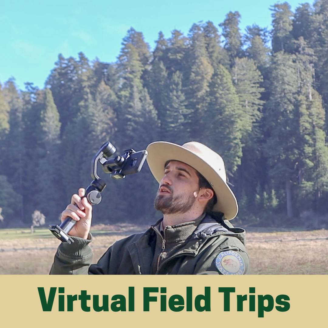 Virtual Field Trips